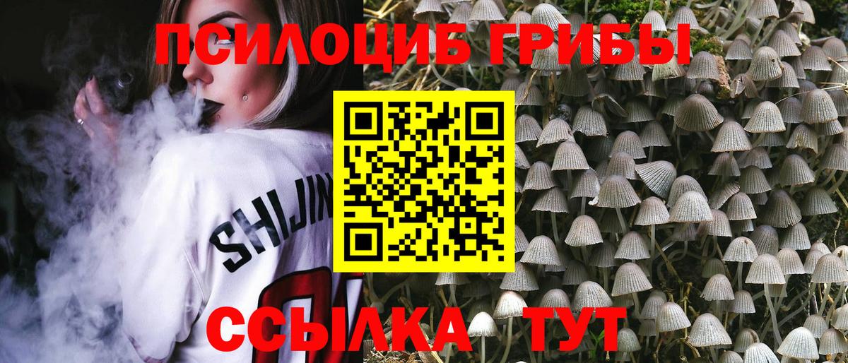 Галлюциногенные грибы мицелий  Вход с VPN  Черногорск 